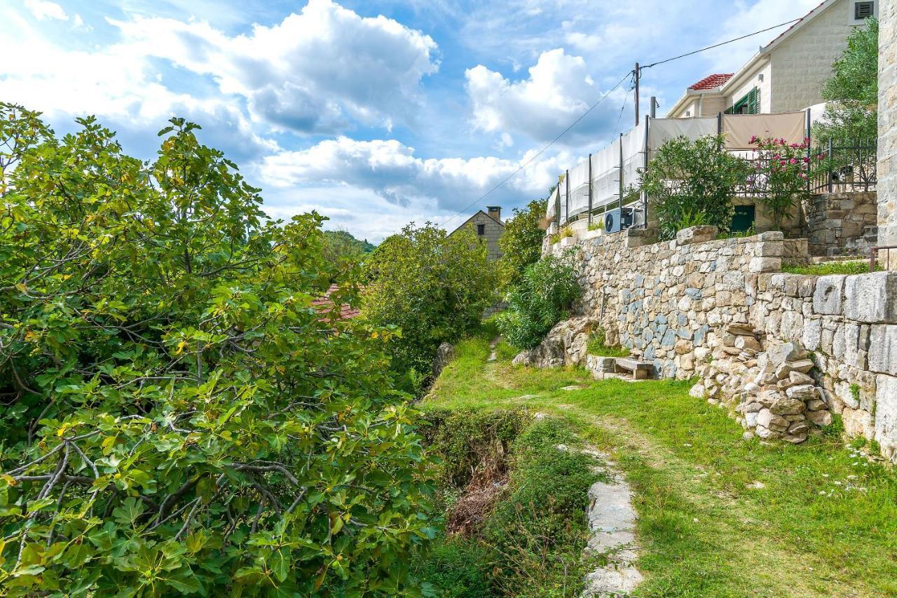 Villa Holiday Home Zvecanje Esterno foto